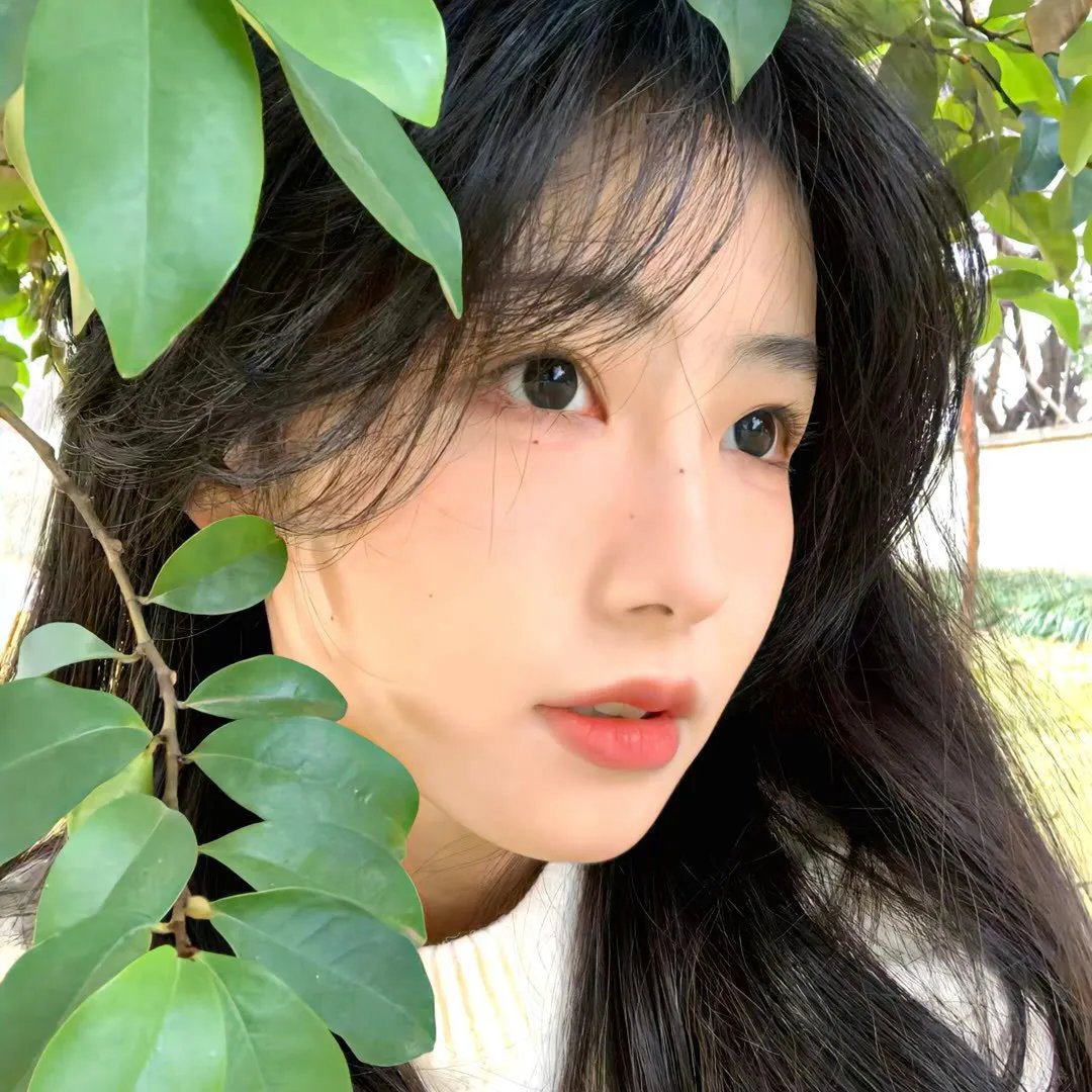 大明天子